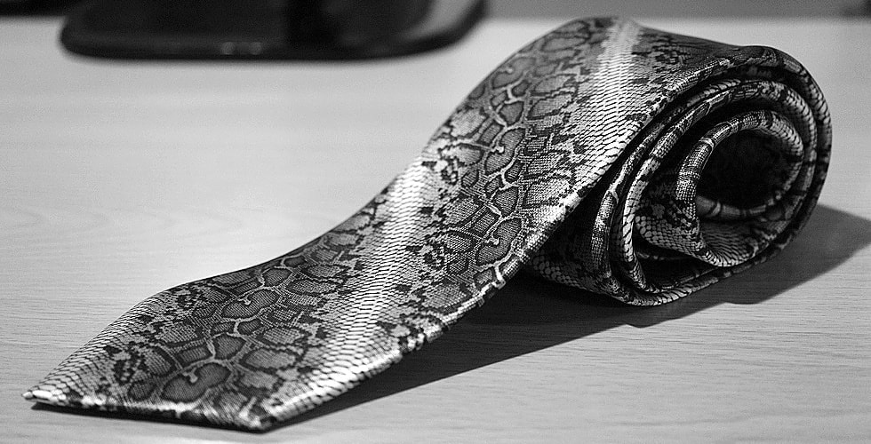 snake_0533gry_trim_20240312231230020.jpg
